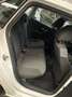 Volkswagen Polo 1.2/70CV 12V 5p. Comfortline Blanc - thumbnail 13