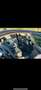 BMW 730 BMW 730d LANG sehr sauber gepflegt - thumbnail 11