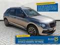 Skoda Kamiq 1.0 TSI DSG Selection Kamera / Kessy / 17" Gris - thumbnail 1