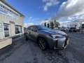 Lexus UX 250h 250H 2WD F SPORT MY20 Grijs - thumbnail 4