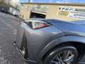 Lexus UX 250h 250H 2WD F SPORT MY20 Grijs - thumbnail 9