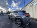 Lexus UX 250h 250H 2WD F SPORT EXECUTIVE MY19 Grau - thumbnail 8