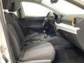 SEAT Ibiza 1.0 TSI S&S Style XM 110 Blanco - thumbnail 5