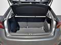 Skoda Fabia 1.0TSI Sondermodell 130Jahre (Essence) Sitzheizung Gris - thumbnail 16