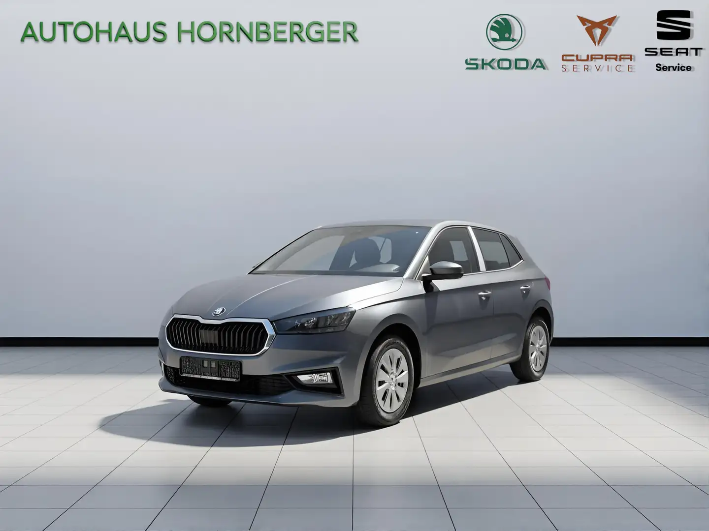 Skoda Fabia 1.0TSI Sondermodell 130Jahre (Essence) Sitzheizung Gris - 1