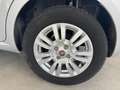 Fiat Punto 1.2 8V 5 porte Young Neopatentati Ok Сірий - thumbnail 18