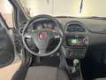 Fiat Punto 1.2 8V 5 porte Young Neopatentati Ok Grigio - thumbnail 14