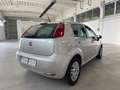 Fiat Punto 1.2 8V 5 porte Young Neopatentati Ok Grigio - thumbnail 3
