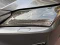 Lexus RX 450h 22500ht RX 450H 4WD LUXE EURO6D-T Gris - thumbnail 10