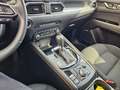 Mazda CX-5 SkyActiv-G 194 Sports-Line | Aut. | HUD | Sitzhzg Gris - thumbnail 12