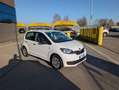 Skoda Citigo 5p 1.0 mpi g-tec Active 68cv - BENZ/METANO Weiß - thumbnail 3