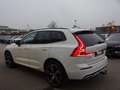 Volvo XC60 B4 R Design AWD AHK ACC BLIS 360° 21" Weiß - thumbnail 5