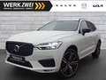 Volvo XC60 B4 R Design AWD AHK ACC BLIS 360° 21" Weiß - thumbnail 1