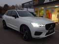 Volvo XC60 B4 R Design AWD AHK ACC BLIS 360° 21" Weiß - thumbnail 9