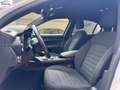Alfa Romeo Stelvio Alfa Romeo  2.2 t Super Business Q4 190cv a Weiß - thumbnail 12