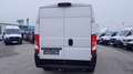Fiat Ducato 2.3 L2H2 *Netto €14.158,-* Blanc - thumbnail 7