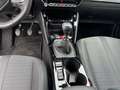 Peugeot 208 208 Allure Pack 100 +Kamera+Nai+SHZ+EPH+ Grau - thumbnail 13