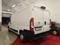 Peugeot Boxer Passo Medio Tetto Basso L2 H1 - thumbnail 6