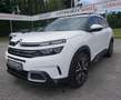 Citroen C5 Aircross HDi 130 EAT8 Shine Pack Weiß - thumbnail 1