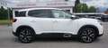Citroen C5 Aircross HDi 130 EAT8 Shine Pack Weiß - thumbnail 4