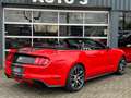 Ford Mustang Convertible 2.3 EcoBoost Red - thumbnail 10