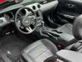 Ford Mustang Convertible 2.3 EcoBoost Rojo - thumbnail 13
