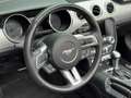 Ford Mustang Convertible 2.3 EcoBoost Rojo - thumbnail 14
