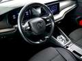 Skoda Octavia 4x4 Ambition TDI DSG Blau - thumbnail 13