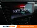 Skoda Superb 2.0 TSI SportLine Aut.*NAVI*TEMPO*BI-XENON*PDC*SHZ Grau - thumbnail 19