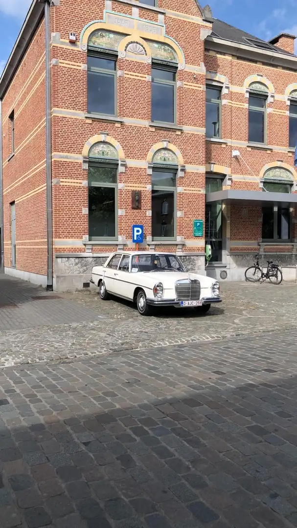 Mercedes-Benz S 250 Mercedes-Benz 250SE - 2