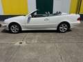 Mercedes-Benz CLK 320 CLK 320Cabrio 2.Ha-Leder-Klimaaut-Tüv-top Zust Weiß - thumbnail 7