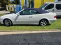 Mercedes-Benz CLK 320 CLK 320Cabrio 2.Ha-Leder-Klimaaut-Tüv-top Zust Weiß - thumbnail 2