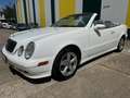 Mercedes-Benz CLK 320 CLK 320Cabrio 2.Ha-Leder-Klimaaut-Tüv-top Zust Weiß - thumbnail 15