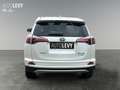 Toyota RAV 4 RAV4 2.5 Executive Matrix 2xKlima 360 AUT Kam. Білий - thumbnail 5