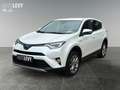 Toyota RAV 4 RAV4 2.5 Executive Matrix 2xKlima 360 AUT Kam. Weiß - thumbnail 2