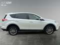 Toyota RAV 4 RAV4 2.5 Executive Matrix 2xKlima 360 AUT Kam. Білий - thumbnail 7