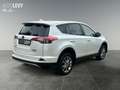 Toyota RAV 4 RAV4 2.5 Executive Matrix 2xKlima 360 AUT Kam. Білий - thumbnail 6