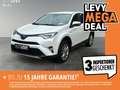 Toyota RAV 4 RAV4 2.5 Executive Matrix 2xKlima 360 AUT Kam. Білий - thumbnail 1