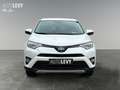 Toyota RAV 4 RAV4 2.5 Executive Matrix 2xKlima 360 AUT Kam. Білий - thumbnail 9