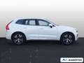 Volvo XC60 Inscription 2WD/ACC/360°CAM/ Wit - thumbnail 4