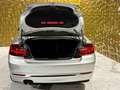 BMW 220 220d Coupe xDrive Sport automatic 190cv pelle Argento - thumbnail 7