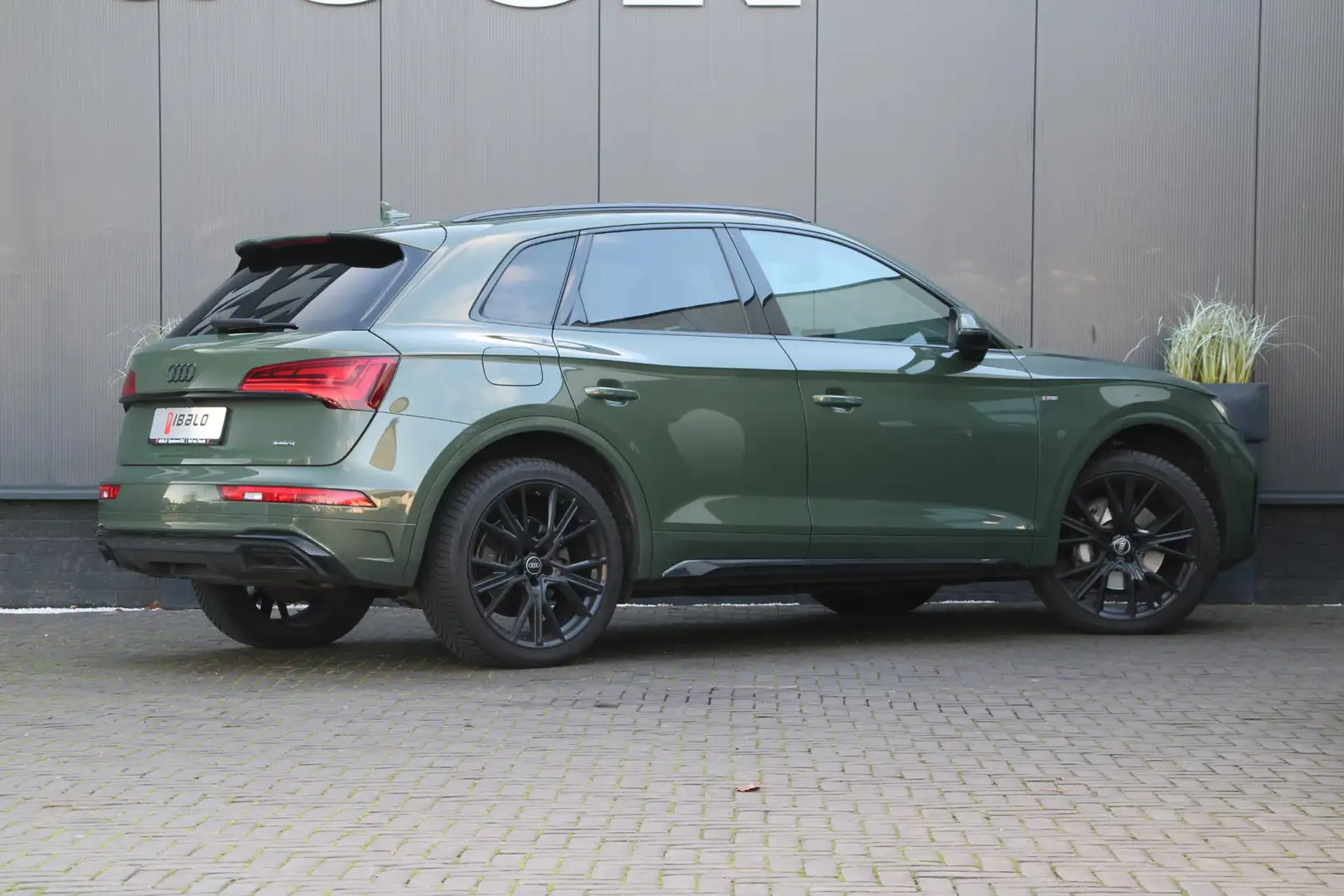 Audi Q5 50 TFSI e S edition | Trekhaak | Matrix LED | Vert - 2