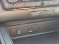 SEAT Ibiza Style 5 Türig Weiß - thumbnail 13