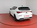 CUPRA Leon 1.5eTSI DSG  279,-ohne Anzahlung Navi Kamera Sitz Weiß - thumbnail 25