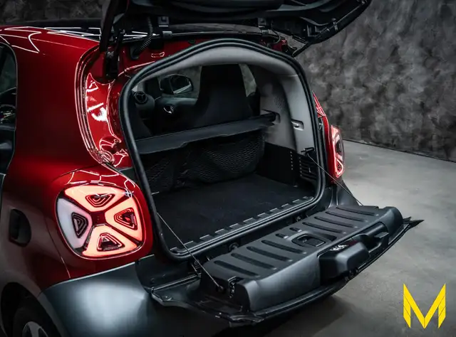 Smart Fortwo view 10