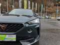 CUPRA Formentor 2,0 TSI 4Drive DSG Grün - thumbnail 18