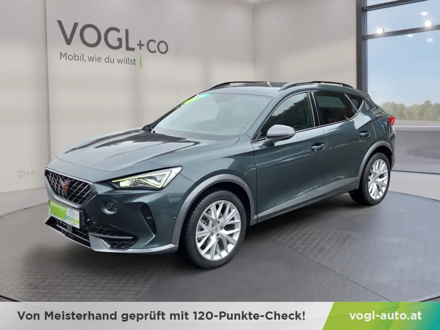 CUPRA Formentor 2,0 TSI 4Drive DSG Grün - 1