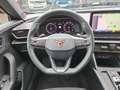 CUPRA Formentor 2,0 TSI 4Drive DSG Grün - thumbnail 12