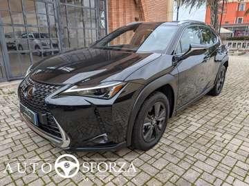 2.0 Hybrid Business Tagliandata Nazionale E6d