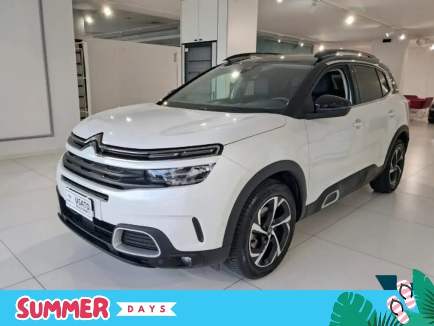 Citroen C5 Aircross PureTech 130 S&S Live Bianco - 1